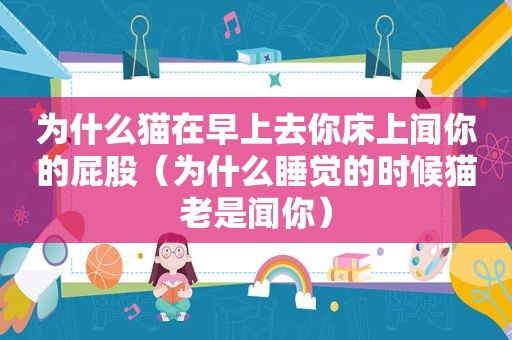 为什么猫在早上去你床上闻你的 *** （为什么睡觉的时候猫老是闻你）