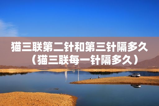 猫三联第二针和第三针隔多久（猫三联每一针隔多久）
