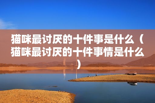 猫咪最讨厌的十件事是什么（猫咪最讨厌的十件事情是什么）