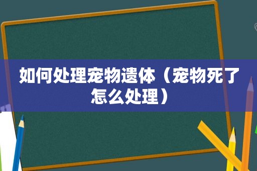 如何处理宠物遗体（宠物死了怎么处理）