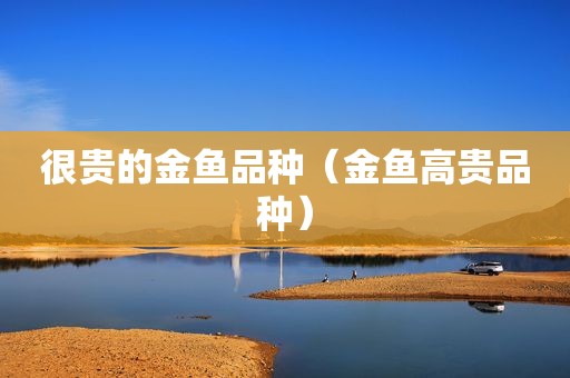 很贵的金鱼品种（金鱼高贵品种）