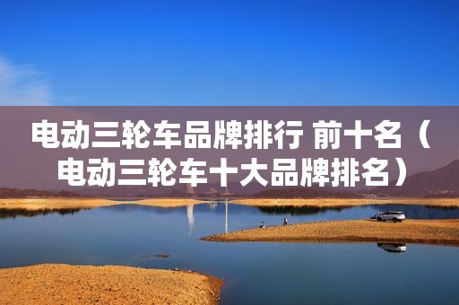 电动三轮车品牌排行 前十名（电动三轮车十大品牌排名）