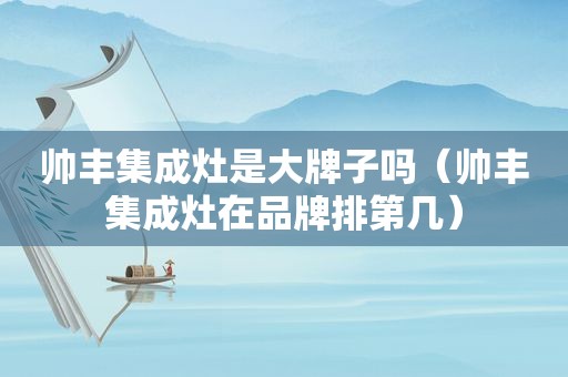 帅丰集成灶是大牌子吗（帅丰集成灶在品牌排第几）