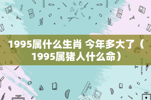 1995属什么生肖 今年多大了（1995属猪人什么命）