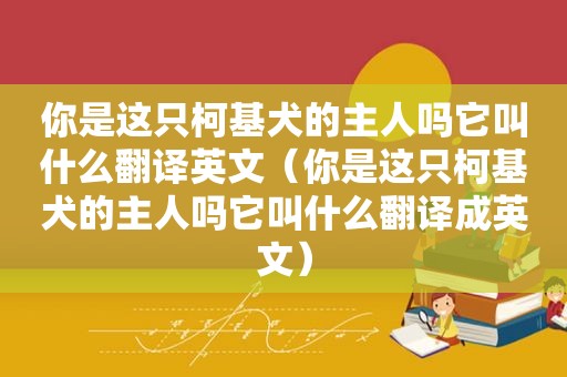 你是这只柯基犬的主人吗它叫什么翻译英文（你是这只柯基犬的主人吗它叫什么翻译成英文）