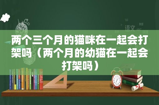 两个三个月的猫咪在一起会打架吗（两个月的幼猫在一起会打架吗）