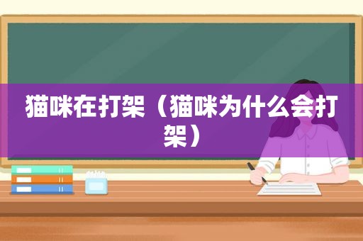 猫咪在打架（猫咪为什么会打架）