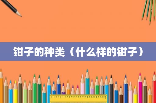钳子的种类（什么样的钳子）