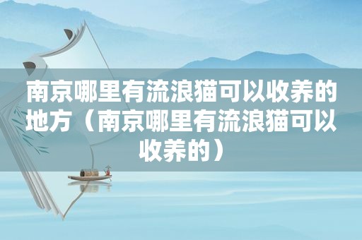 南京哪里有流浪猫可以收养的地方（南京哪里有流浪猫可以收养的）
