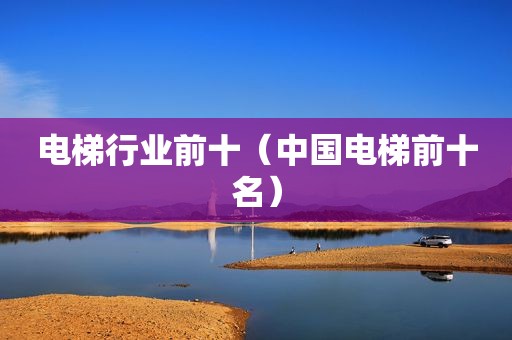 电梯行业前十（中国电梯前十名）