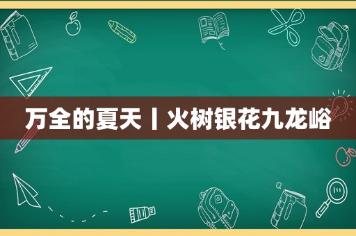 万全的夏天丨火树银花九龙峪