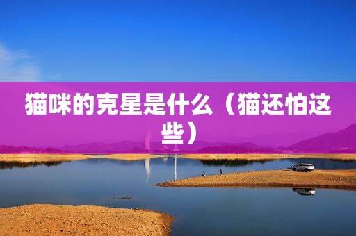 猫咪的克星是什么（猫还怕这些）