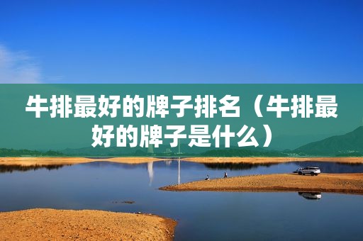 牛排最好的牌子排名（牛排最好的牌子是什么）