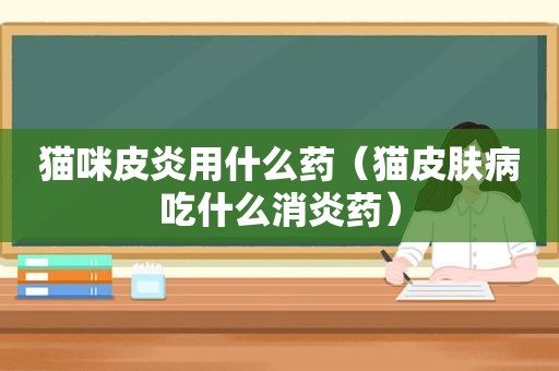 猫咪皮炎用什么药（猫皮肤病吃什么消炎药）