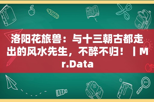 洛阳花旅兽：与十三朝古都走出的风水先生，不醉不归！丨Mr.Data