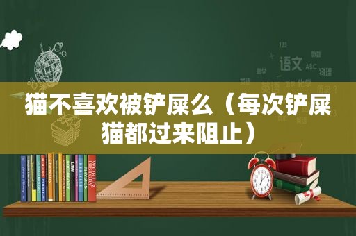 猫不喜欢被铲屎么（每次铲屎猫都过来阻止）