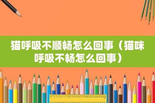 猫呼吸不顺畅怎么回事（猫咪呼吸不畅怎么回事）