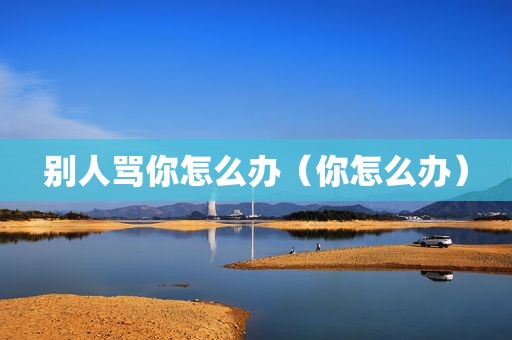 别人骂你怎么办（你怎么办）