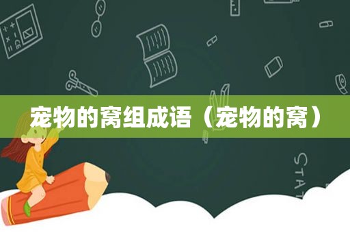 宠物的窝组成语（宠物的窝）