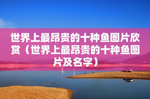 世界上最昂贵的十种鱼图片欣赏（世界上最昂贵的十种鱼图片及名字）