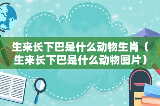 生来长下巴是什么动物生肖（生来长下巴是什么动物图片）