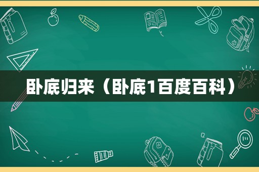 卧底归来（卧底1百度百科）
