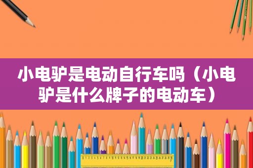 小电驴是电动自行车吗（小电驴是什么牌子的电动车）