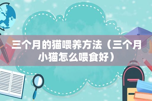 三个月的猫喂养方法（三个月小猫怎么喂食好）
