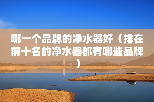 哪一个品牌的净水器好（排在前十名的净水器都有哪些品牌）