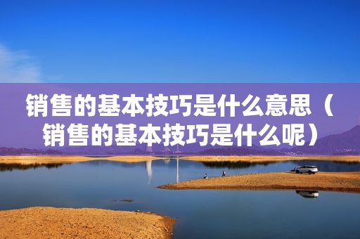 销售的基本技巧是什么意思（销售的基本技巧是什么呢）
