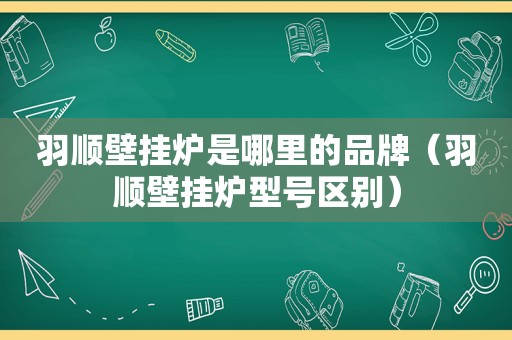 羽顺壁挂炉是哪里的品牌（羽顺壁挂炉型号区别）