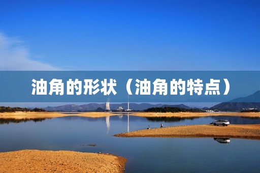 油角的形状（油角的特点）