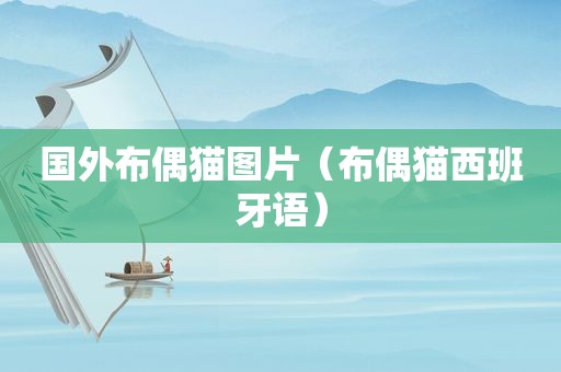 国外布偶猫图片（布偶猫西班牙语）