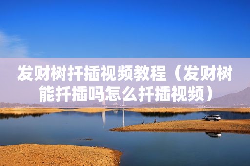 发财树扦插视频教程（发财树能扦插吗怎么扦插视频）