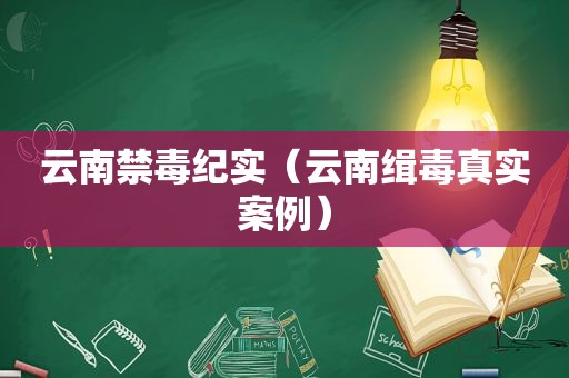 云南禁毒纪实（云南缉毒真实案例）