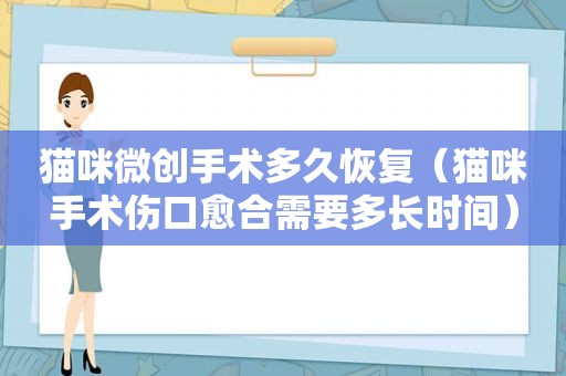 猫咪微创手术多久恢复（猫咪手术伤口愈合需要多长时间）