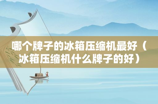 哪个牌子的冰箱压缩机最好（冰箱压缩机什么牌子的好）