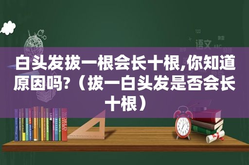白头发拔一根会长十根,你知道原因吗?（拔一白头发是否会长十根）