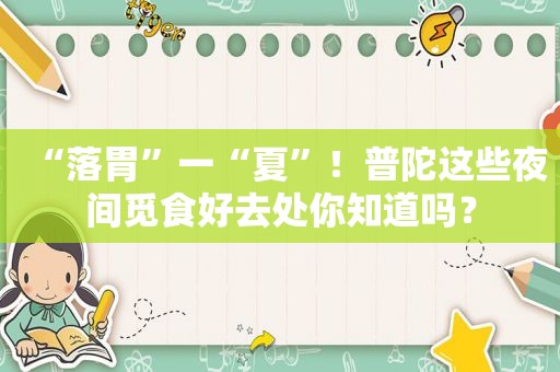 “落胃”一“夏”！普陀这些夜间觅食好去处你知道吗？