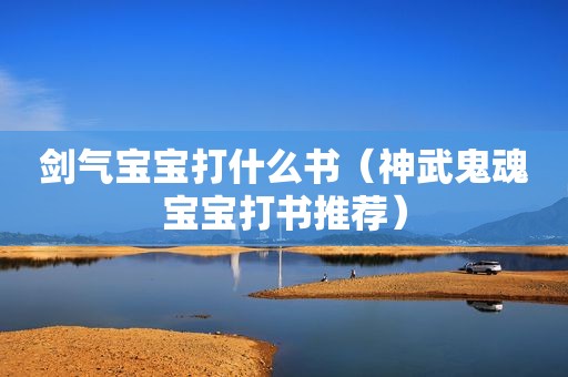 剑气宝宝打什么书（神武鬼魂宝宝打书推荐）