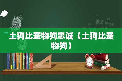 土狗比宠物狗忠诚（土狗比宠物狗）
