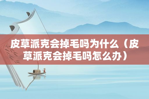 皮草派克会掉毛吗为什么（皮草派克会掉毛吗怎么办）