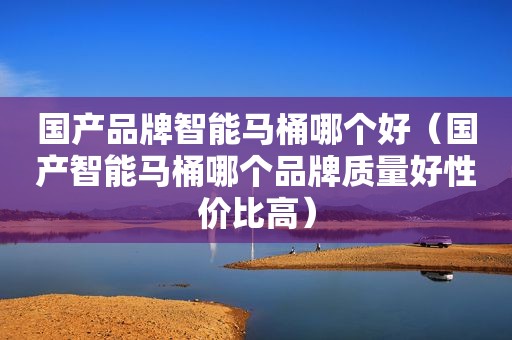 国产品牌智能马桶哪个好（国产智能马桶哪个品牌质量好性价比高）