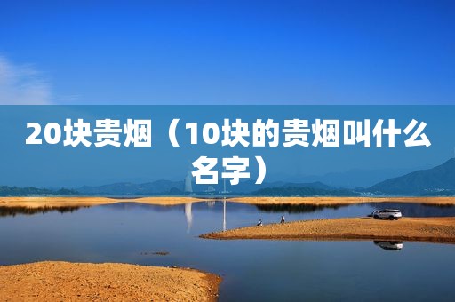 20块贵烟（10块的贵烟叫什么名字）