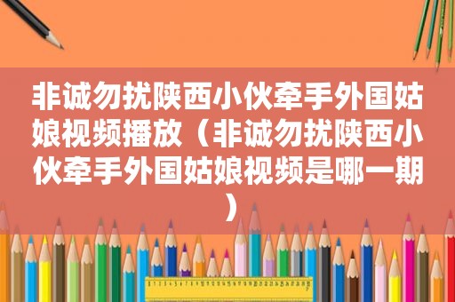 非诚勿扰陕西小伙牵手外国姑娘视频播放（非诚勿扰陕西小伙牵手外国姑娘视频是哪一期）