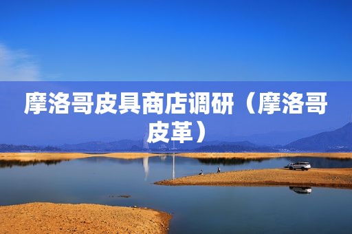 摩洛哥皮具商店调研（摩洛哥皮革）