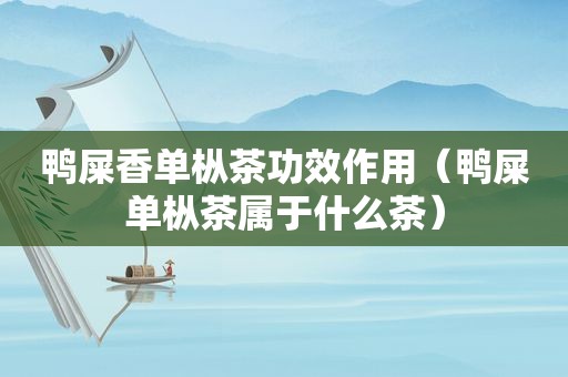 鸭屎香单枞茶功效作用（鸭屎单枞茶属于什么茶）