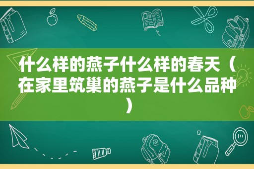 什么样的燕子什么样的春天（在家里筑巢的燕子是什么品种）