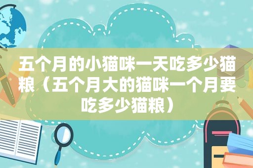 五个月的小猫咪一天吃多少猫粮（五个月大的猫咪一个月要吃多少猫粮）