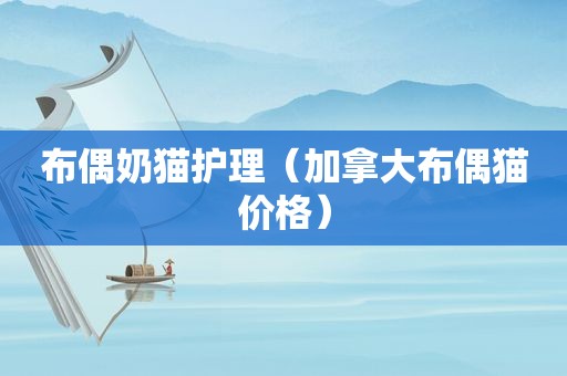 布偶奶猫护理（加拿大布偶猫价格）